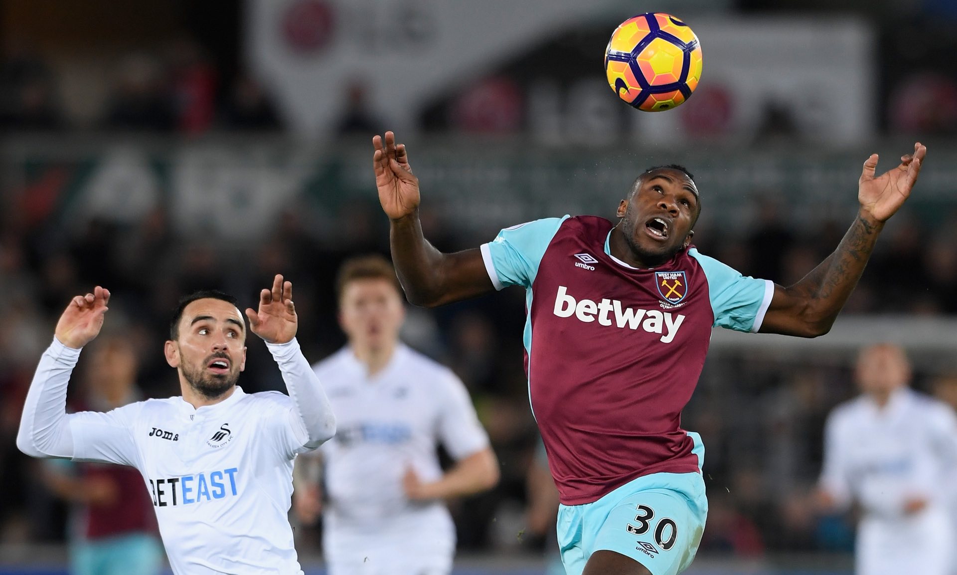 而加图索显 而加图索显