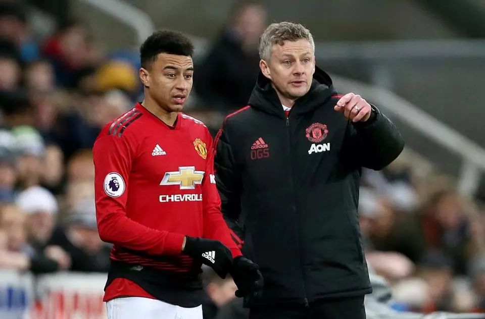 增添了一项 增添了一项