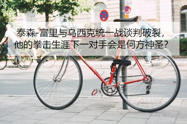 泰森-富里与乌西克统一战谈判破裂，他的拳击生涯下一对手会是何方神圣？